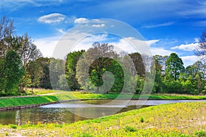 Forest on the shores of beautiful Lake