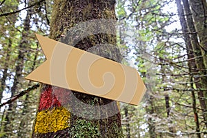 Forest sign in the form of an arrow with trail sign in red and yellow