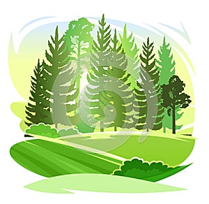 Forest silhouette scene. Landscape with coniferous trees. Beautiful green view. Pine and spruce trees. Summer nature