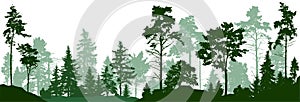 Forest silhouette trees. Evergreen coniferous forest with pines, fir trees, christmas tree, cedar, Scotch fir. Vector