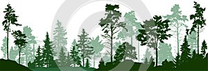 Forest silhouette trees. Evergreen coniferous forest with pines, fir trees, christmas tree, cedar, Scotch fir. Vector photo