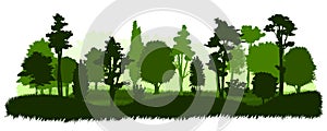 Forest silhouette vector isolated. Park landscape. Tall and low trees, shrubs, grass. Overgrown hills. Detailed object.