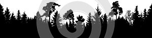 Forest silhouette vector. Scotch fir, Christmas Tree, spruce, fir, pine. Seamless panorama