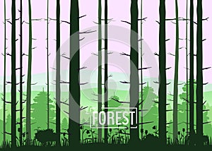 Forest, silhouettes, trees, pine, fir, nature, environment, horizon, panorama, vector, illustration, isolated