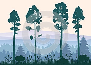 Forest, silhouettes, trees, pine, fir, nature, environment, horizon, panorama, vector, illustration, isolated