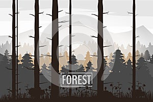 Forest, silhouettes, trees, pine, fir, nature, environment, horizon, panorama, vector, illustration, isolated