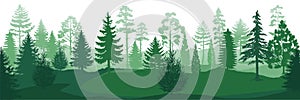 Forest silhouettes. Wild nature wood backgrounds, green pine trees firs and spruces landscape. Vector park backdrop