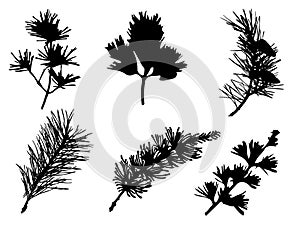 Forest Silhouettes Of Wonderful Pine Tree Collection Set illustration Vector Art Design