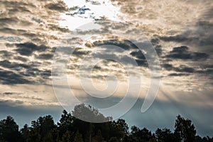 Forest, sky and clouds