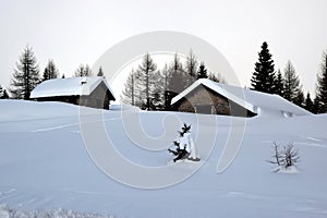 Forest, sky, lodges, trees, winter in Dolomiti mountains, in Cadore, Italy