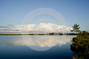 Forest and sky reflection in the swamp