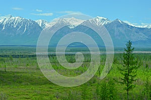 Forest, sky, snowy mountains, green valley and river - siberian alphs