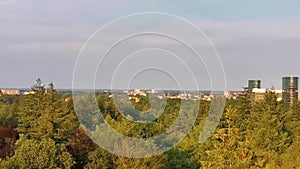 Forest skyline with view on apeldoorn city, popular Dutch town, The netherlands