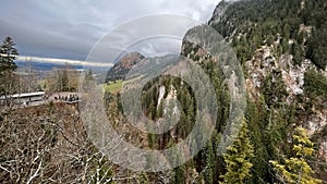 Forest on the slope of the mountain. Meadows and forest on a mountain slope.