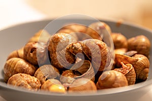 Forest snails cooked with tomato sauce. Delicious poor dish, typical of southern Europe, with Escargot (Helix Aspersa)