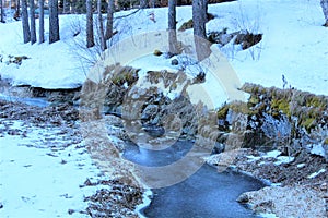 Forest with snow.