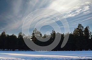 Forest with snow on the ground and clouds in the sky, Flagstaff, Arizona.