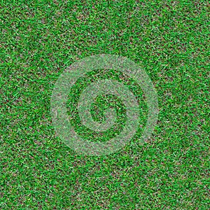 Forest Soil. Seamless Texture.