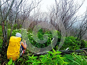 In the middle of forest