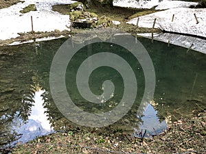 A forest source and a small lake with a watering place beneath the mountain top of Alp Sigel and in the Appenzellerland region