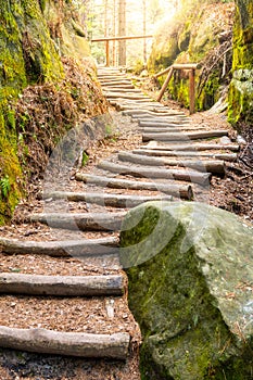 Forest staircase on tourist path