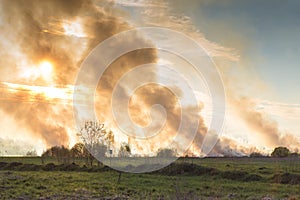 Forest and steppe fires dry completely destroy the fields and steppes during a severe drought. Disaster brings regular