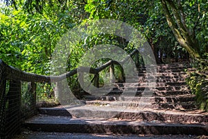 Forest steps. Secluded path to an idyllic woodland retreat