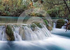 Forest stream