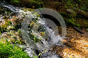 Forest stream, fast water flow