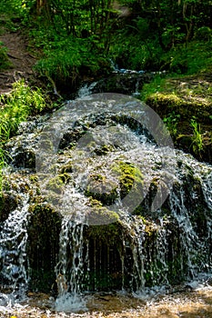 Forest stream `Gremuchiy ruchey`, Russia