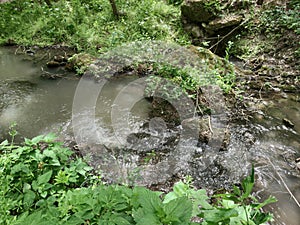 Forest stream among large gray stones. Green moss. Bushes with leaves. Saharna-Moldova.