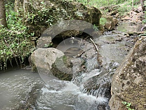 Forest stream among large gray stones. Green moss on the stones. Dry branches and grass. Bushes with leaves. Saharna