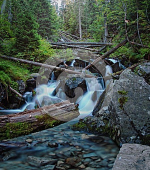 Forest Stream with Long Exposure Water