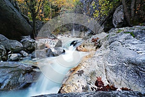 Forest Stream Over White Rocks