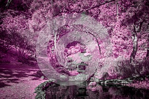 Forest and Stream in Pastel Infrared Color