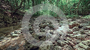 Forest stream among rocks in tropical jungle on sunny day. Painting on wall