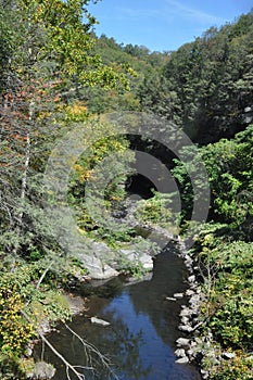 Forest stream, Scranton, Pennsylvania