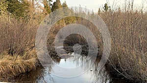 A forest stream in the Upper Peninsula of Michigan in the fall