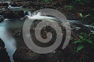 Forest Stream with Water and Nature in Thailand