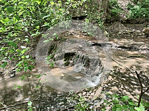 Forest stream with a waterfall among gray stones. On the stones are yellow and green moss and lichens. Around the plant