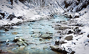 Forest stream in winter