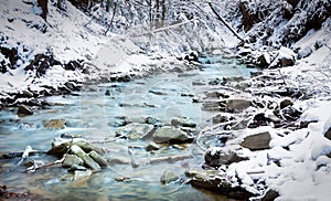 Forest stream in winter photo