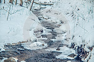 Forest stream in wintertime