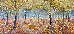 Forest strewn with yellow leaves. Trees in Fall photo