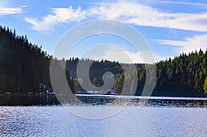 Forest surrounding an artificial lake, Rhodope Mountains, Bulgaria