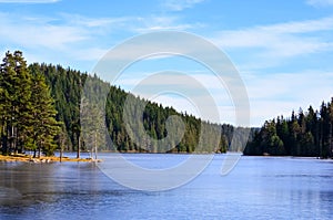 Forest surrounding an artificial lake, Rhodope Mountains, Bulgaria