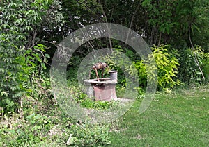 In the forest there is an old abandoned well with a bucket for water