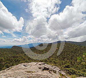 forest from the top of mount tlaloc mexico