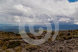 forest from the top of mount tlaloc mexico