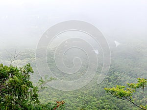 Forest top view have clouds and fog, View from the mountain.